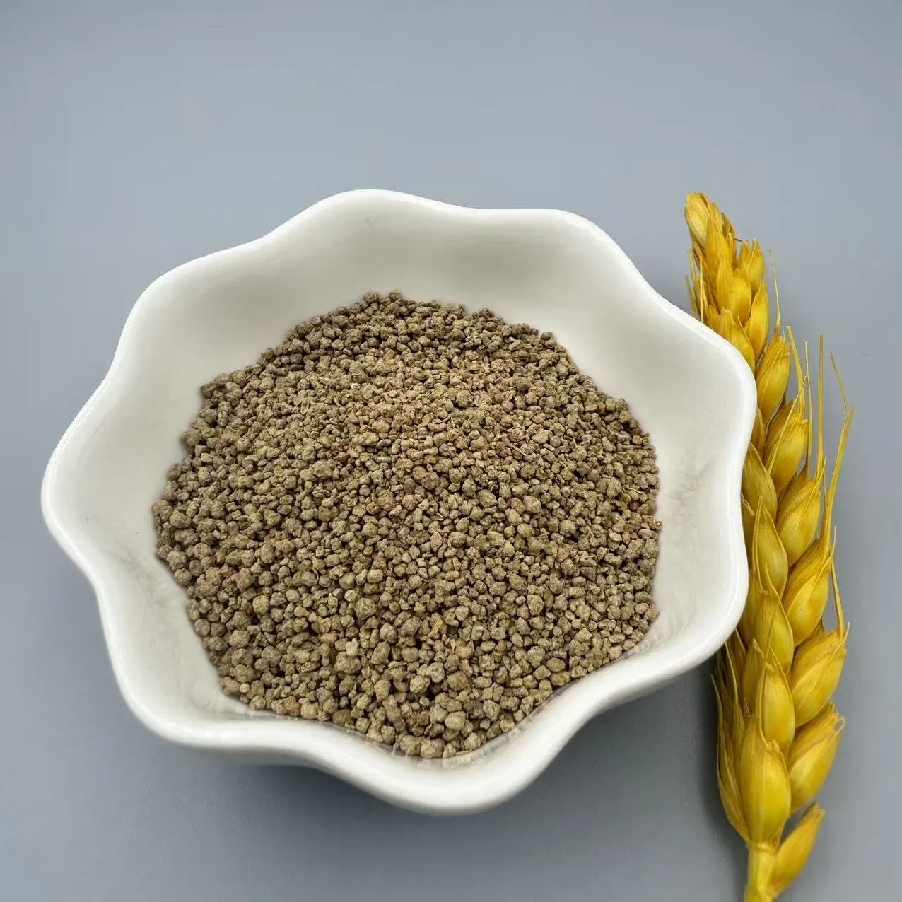 Organic Lysine Sulfate Powder for Enhanced Immune Function and Growth