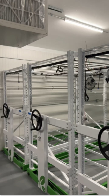 Reinfa Efficient Hydroponic Lettuce Growing Solution with LED Grow Lights – Competitive Factory Price