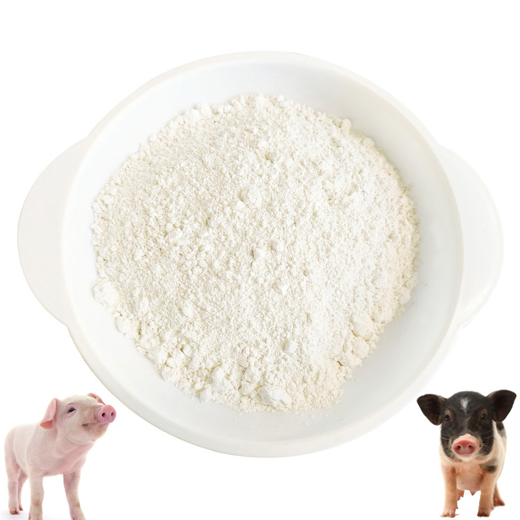 Allicin Feed Additive for Poultry, Livestock, and Aquaculture Strong Antimicrobial, Boosts Immunity, Improves Feed Intake, Enhances Growth Performance Natural