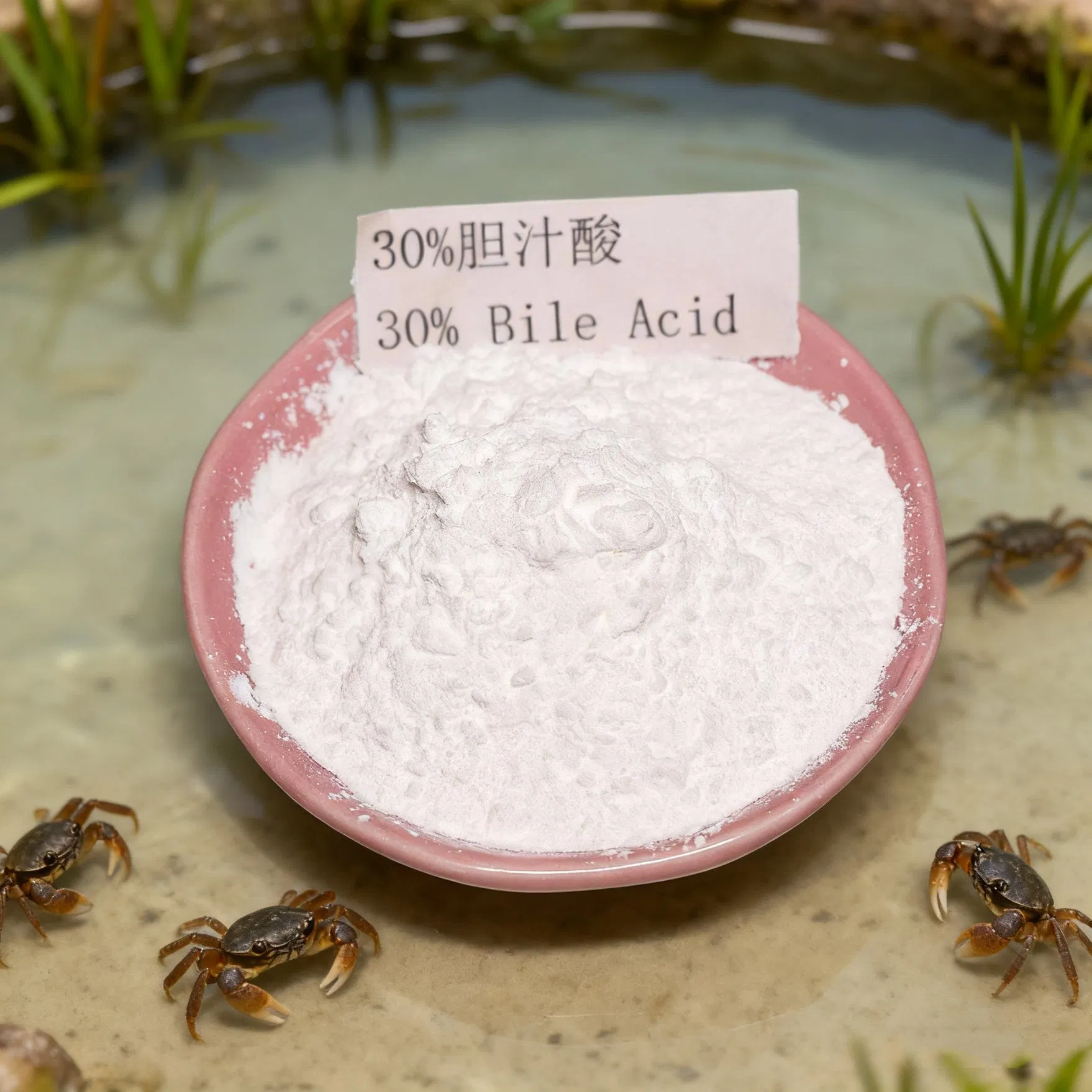 Aquaculture Feed Additive Bile Acid Powder for Fish and Shrimp Liver Health and Growth Promotion