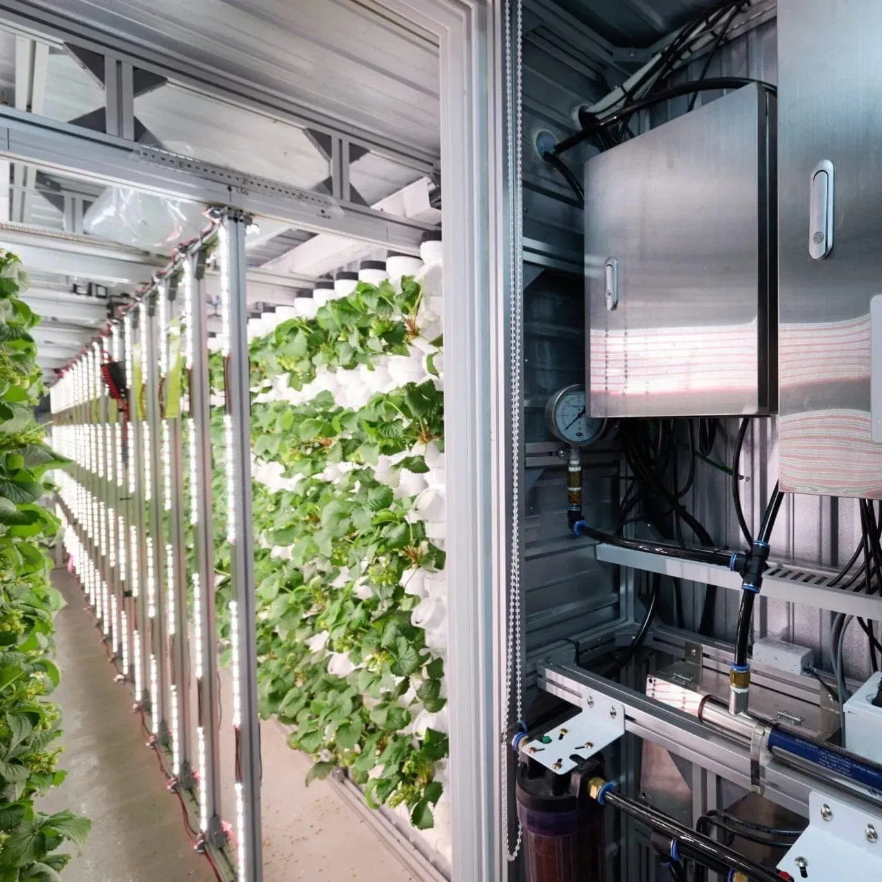 Integrated Hydroponic Container Hydroponic System and Grow Container Integrated Hydroponic Farming Solution