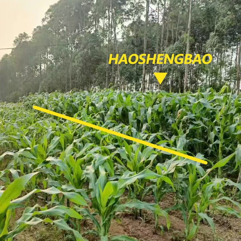 Organic Fertilizer Manufacturer Water Soluble Potassium Fulvic Acid Fertilizer Soil Conditioner