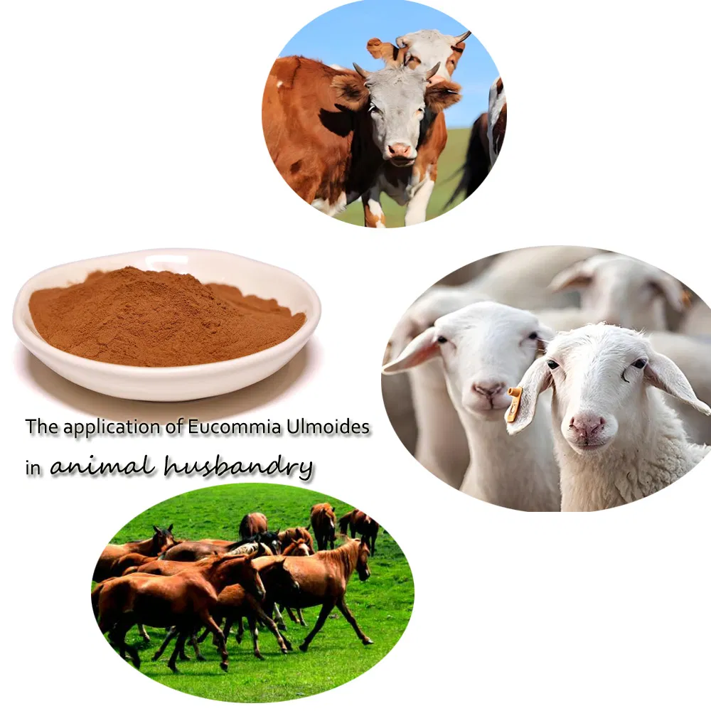 Product Efficacy Chart