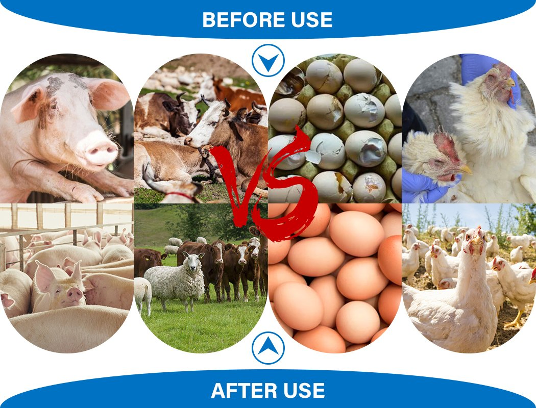 Hot Stress Regulator Powder