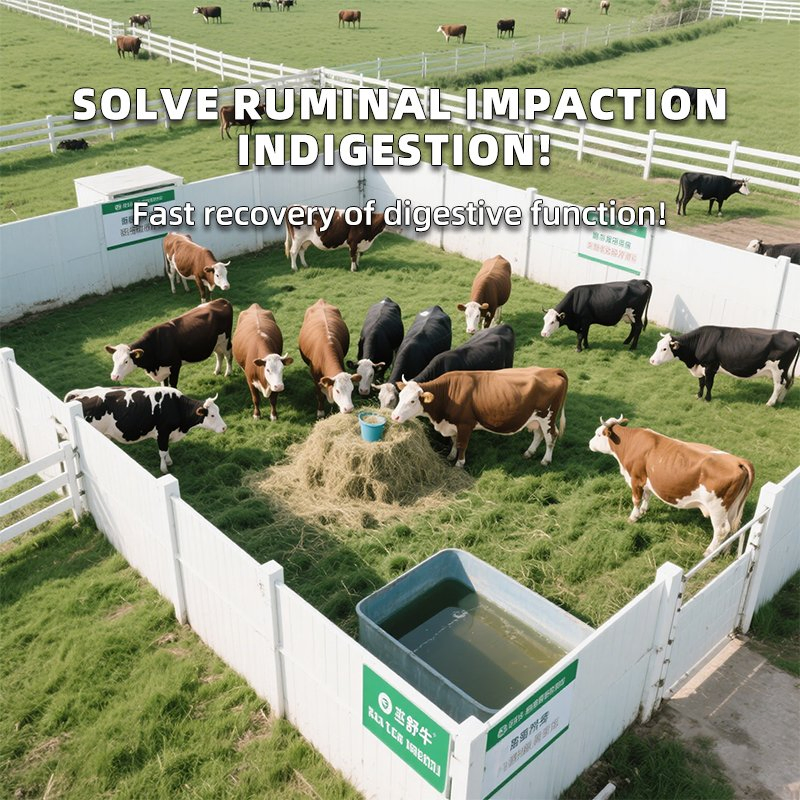 Ruminant Stomach Power Cattle &amp; Sheep Fattening Feed Additive Natural Probiotics Booster
