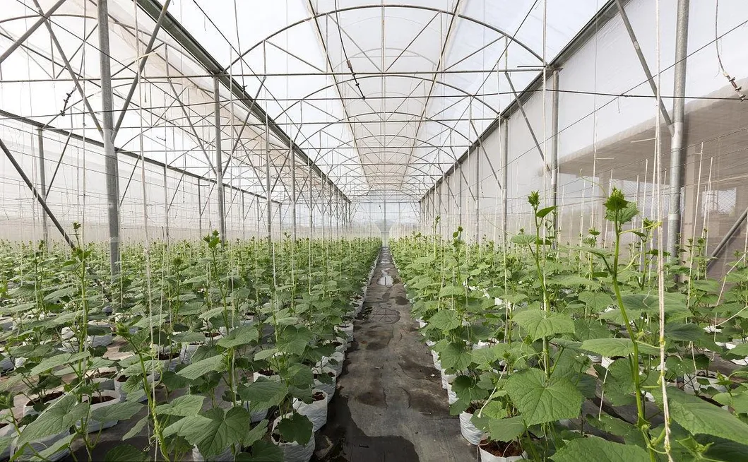 Cooling System Integration