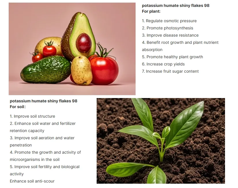 Humic Acid Product Detail