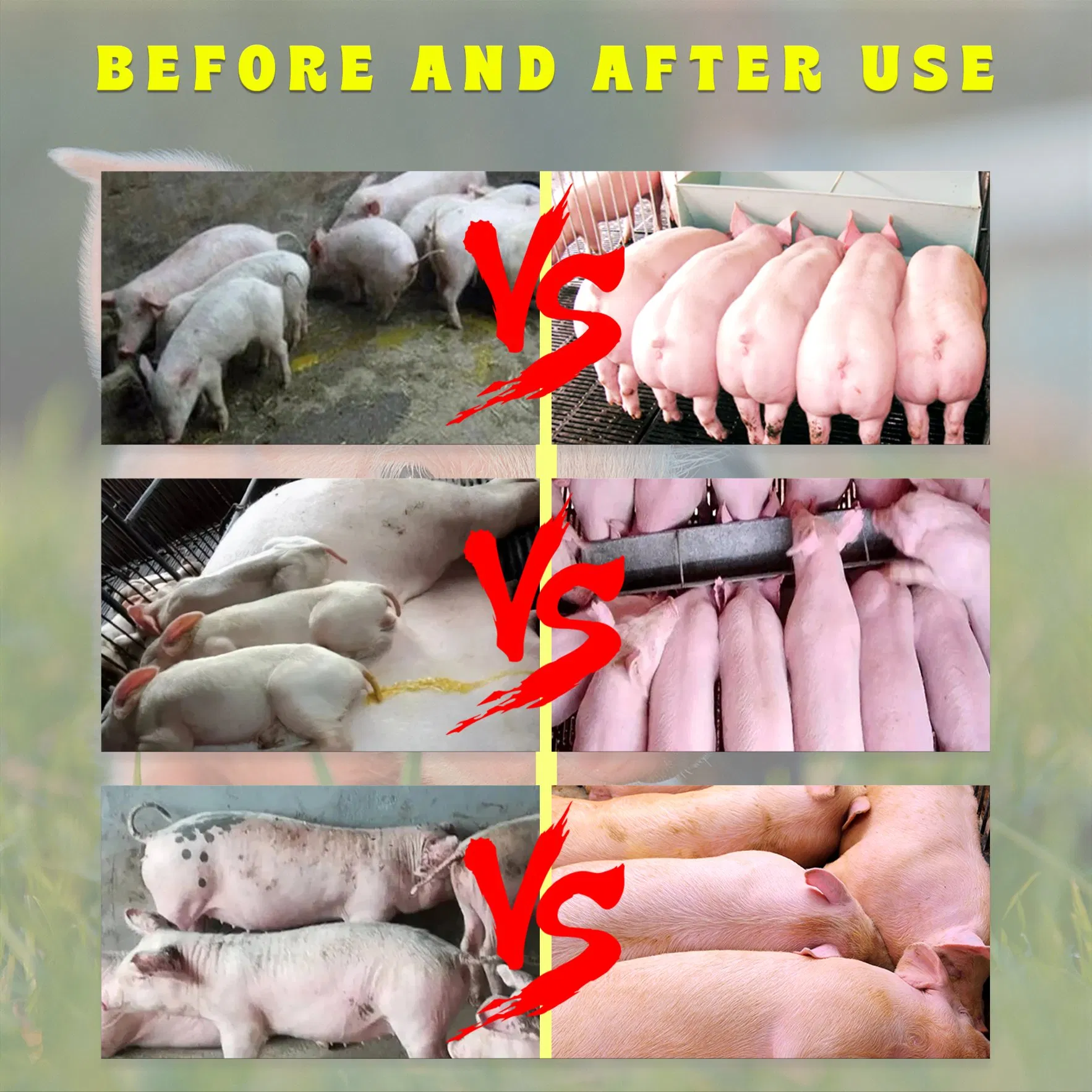 Hot-Selling Feed Additivespig Weight Gain and Growth Promoterspig Growth Boostersmultivitamin Promoters