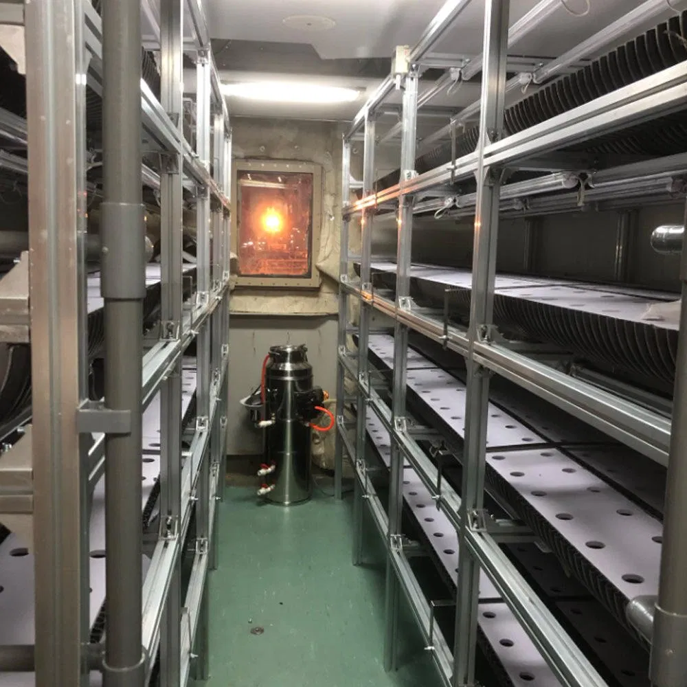 Turnkey Plant Factory Indoor Plant Factory System Turnkey Plant Factory Solution