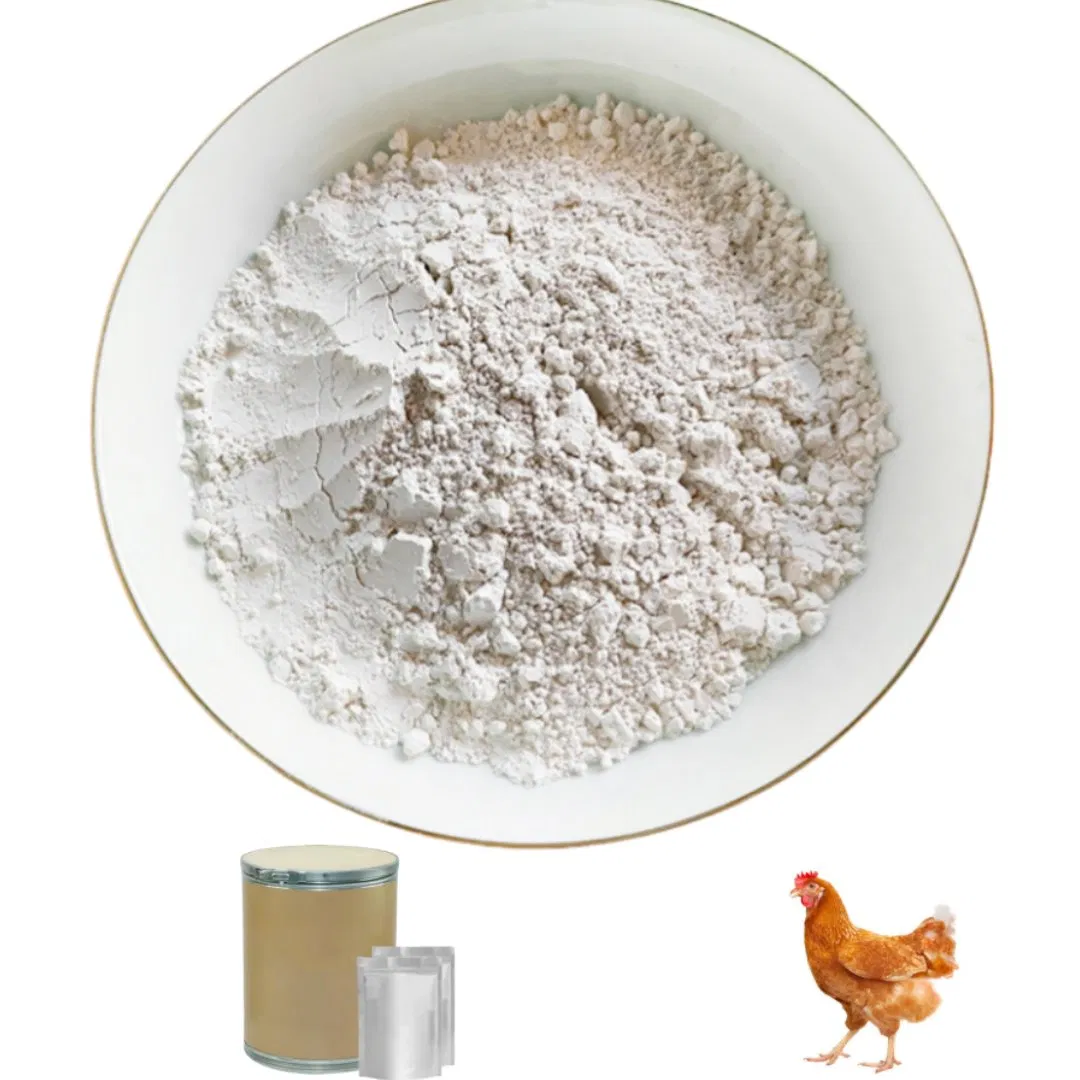 Poultry Allicin Gut Health Promoter - Control Clostridium &amp; Improve Nutrient Absorption in Broilers