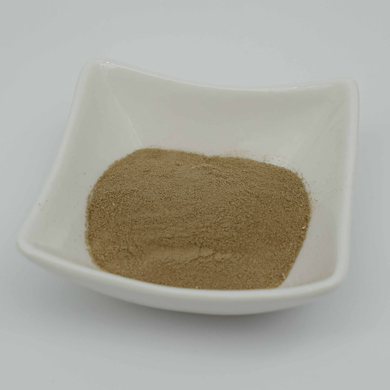 Premium Amino Acid Chelated Fertilizer with Essential Micronutrients