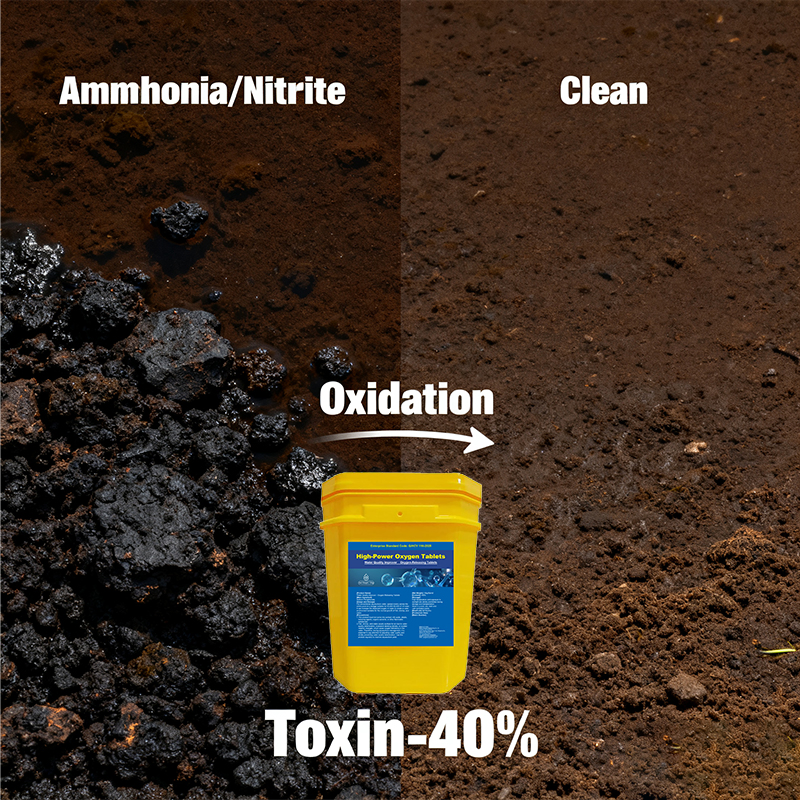 Advanced Oxygen Booster Feed Additives for Healthy Aquaculture Growth