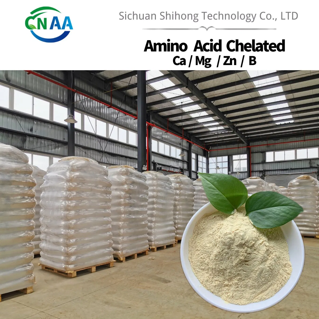 Ca Mg Zn B Chelate Amino Acid Powder Fertilizer for Micronutrient Supplement