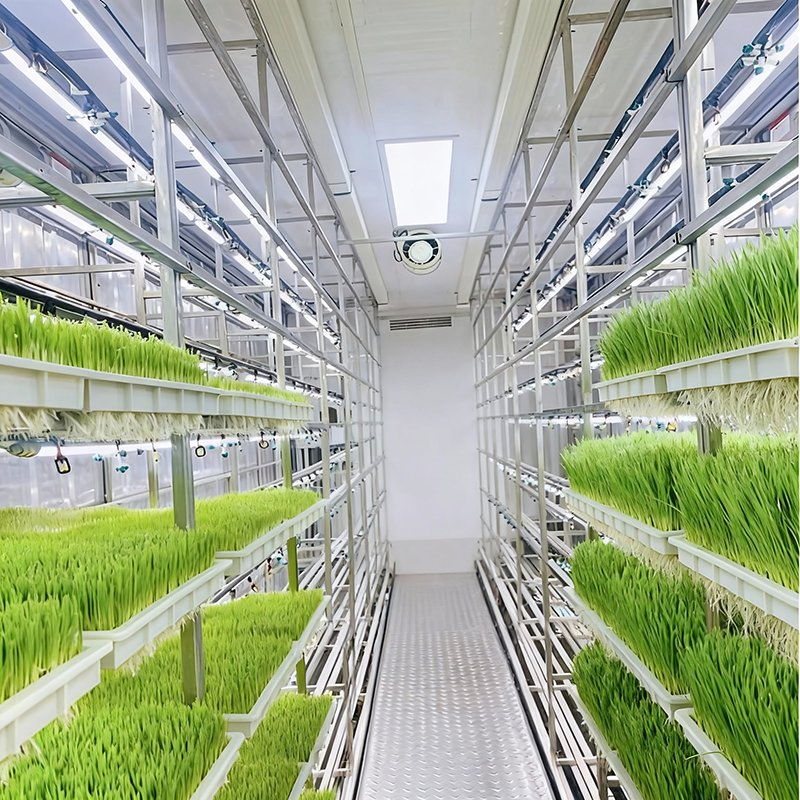 Integrated Hydroponic Container Hydroponic System and Grow Container Integrated Hydroponic Farming Solution