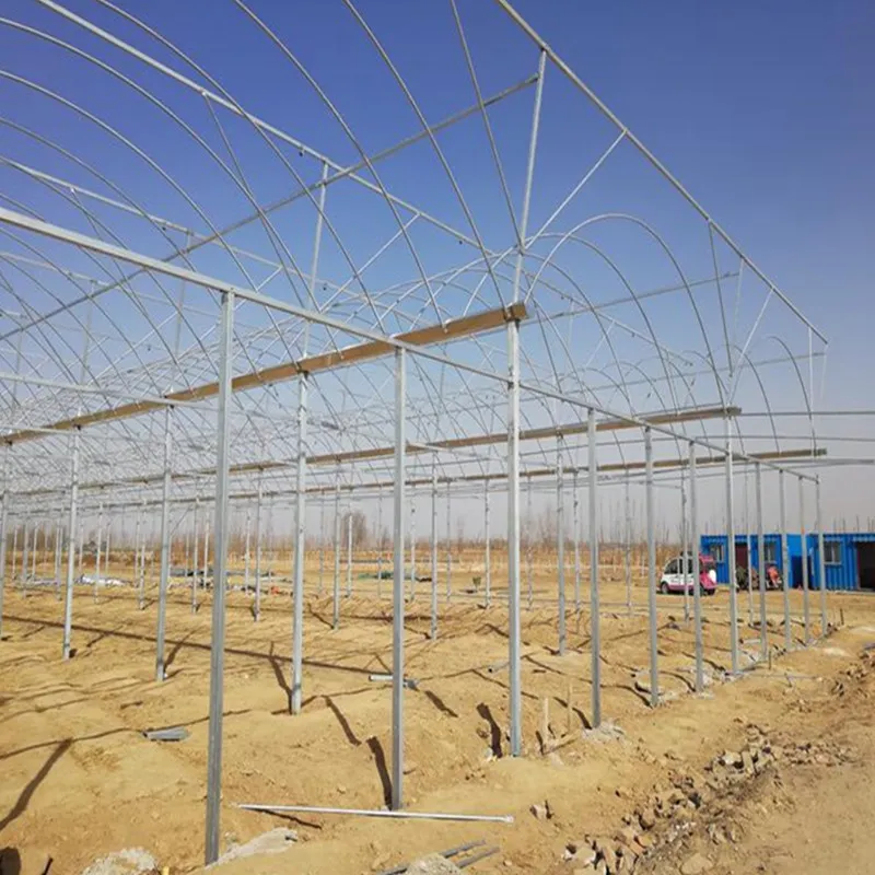 Multi-Span Film Greenhouse Structure