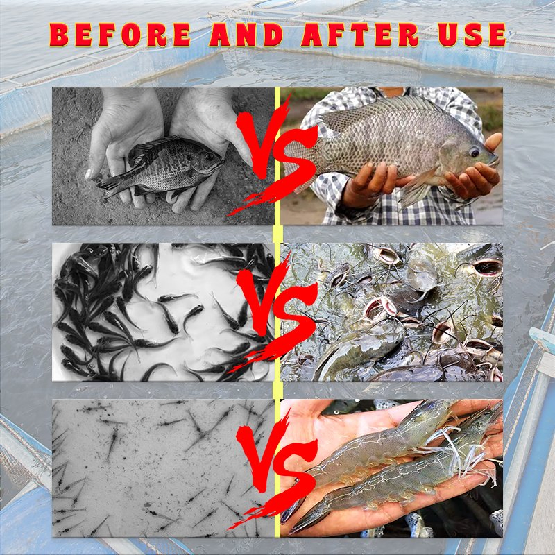 Aquaculture Feed Additives Fish Growth Booster