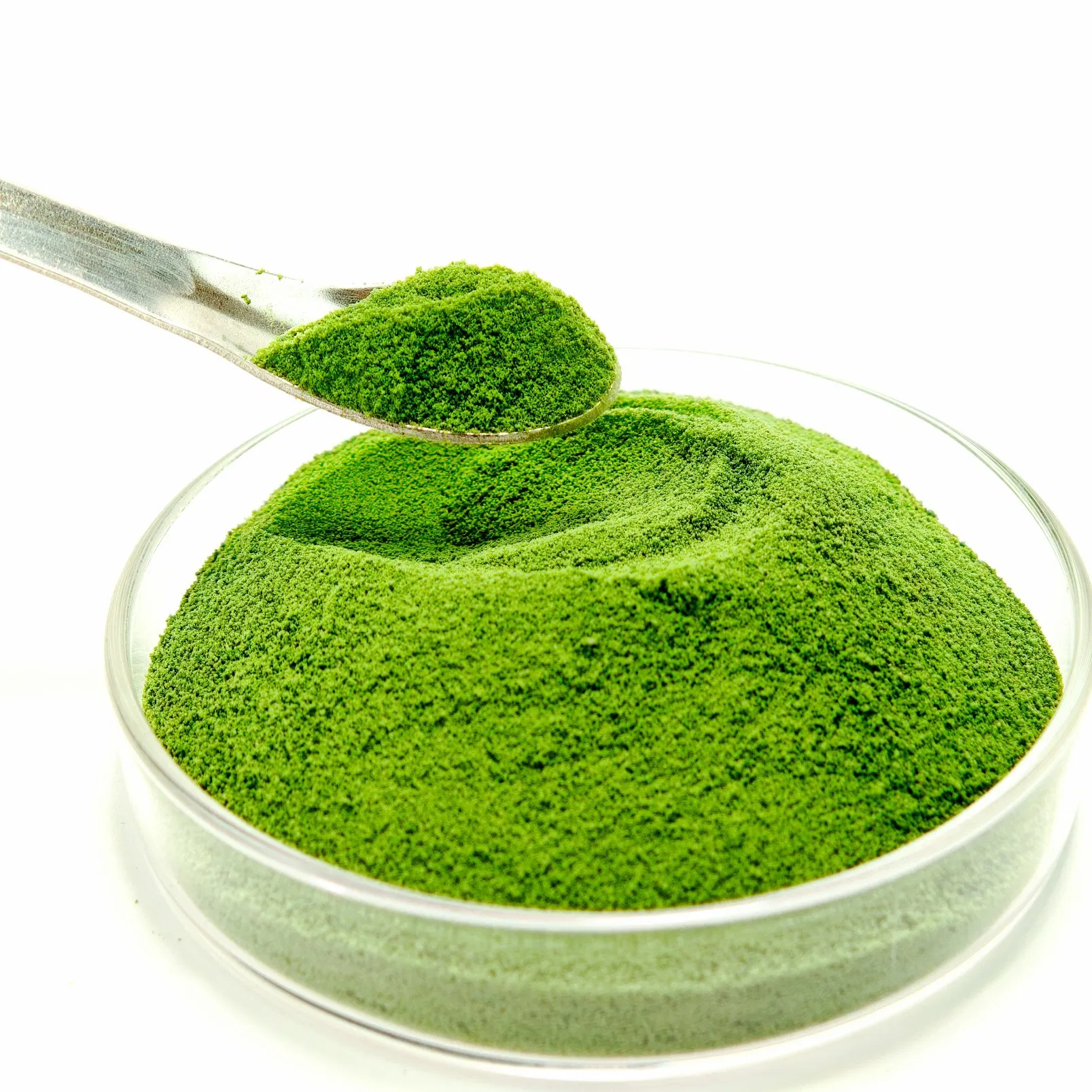 Biological Chelated Water Soluble Micronutrient Seaweed Trace Elements Fertilizer