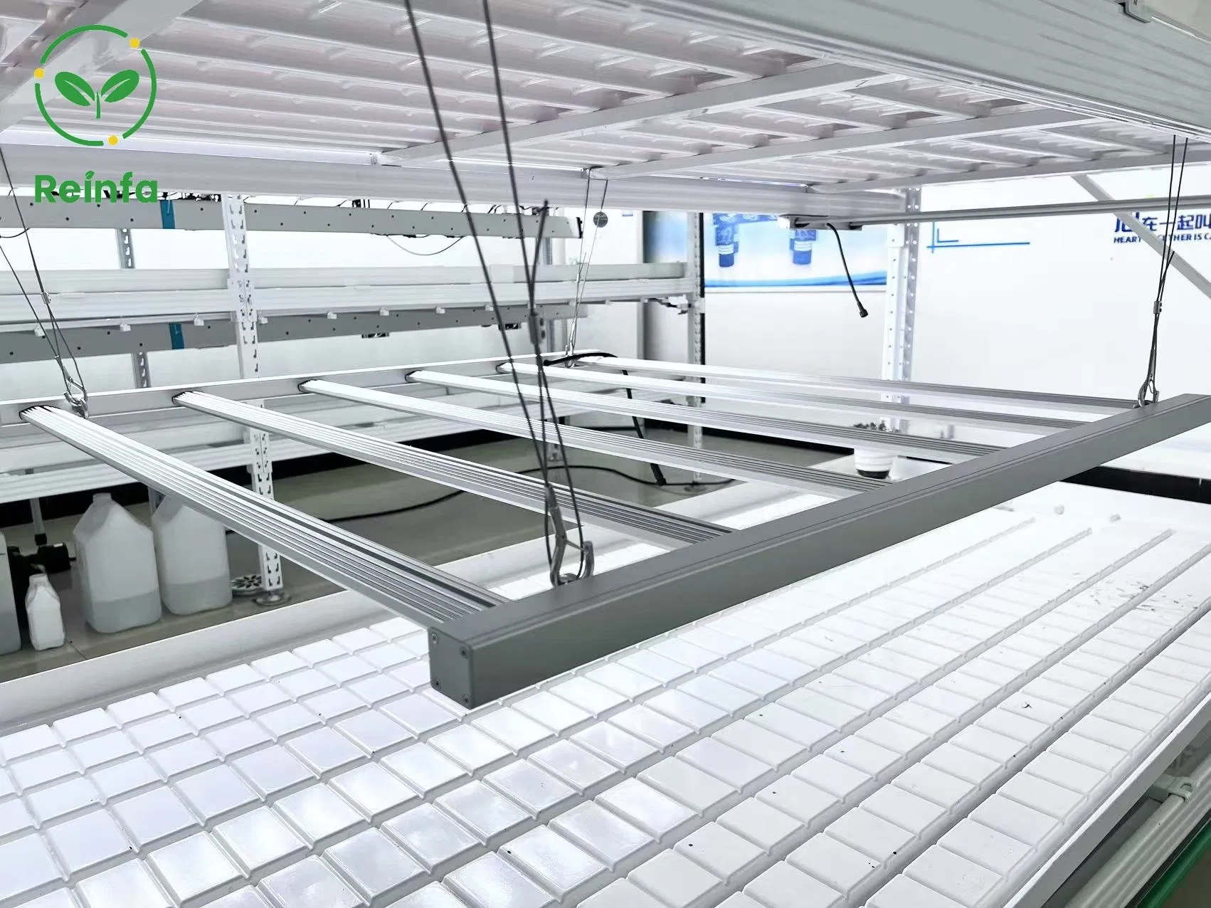 Farmhydro Next-Gen Vertical Dwc Hydroponic Rack Adjustable Indoor Solution for Premium Lettuce Cultivation