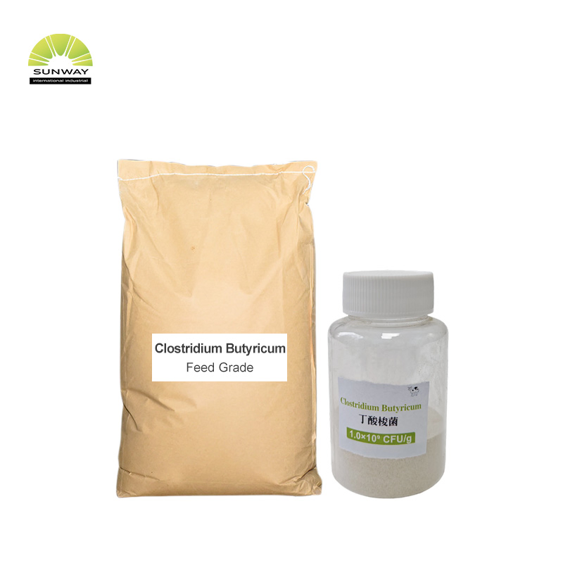 Wholesale Aquaculture Probiotics Feed Additive Clostridium Butyricum for Animal