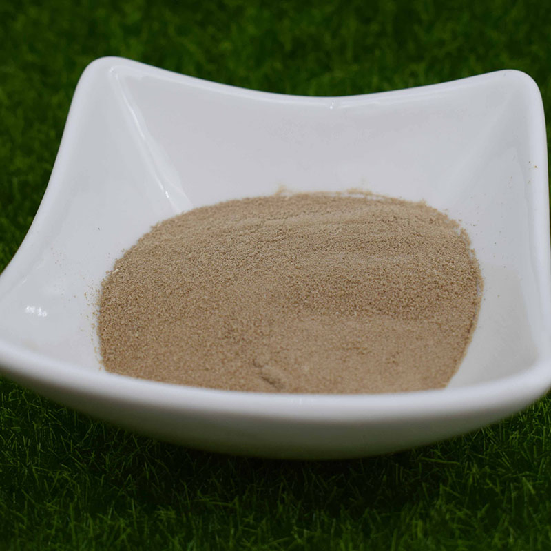 Premium Amino Acid Chelated Fertilizer with Essential Micronutrients