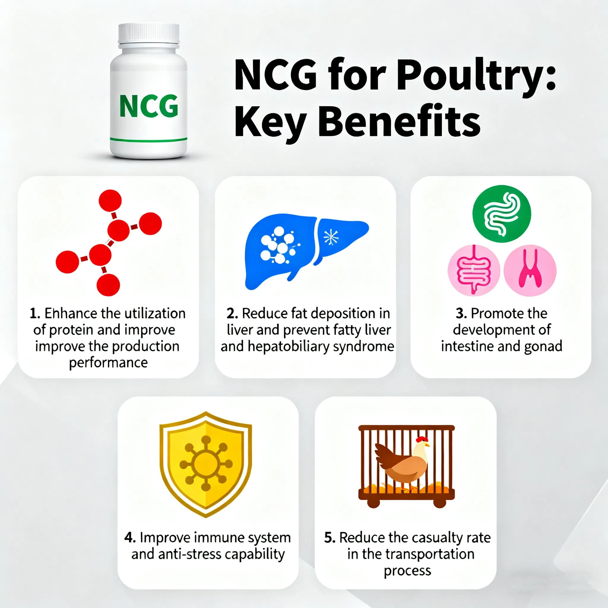 Feed Grade Ncg Feed Additives, Livestock and Poultry Aquaculture Nutritional Supplements