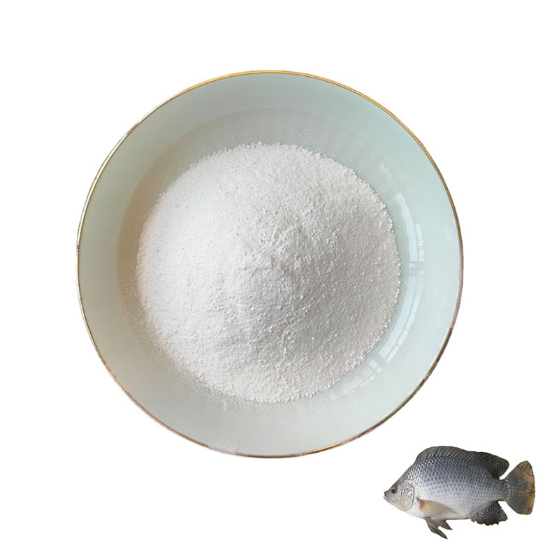 Enhance The Productivity of Livestock with 99% Vitamin C Powder