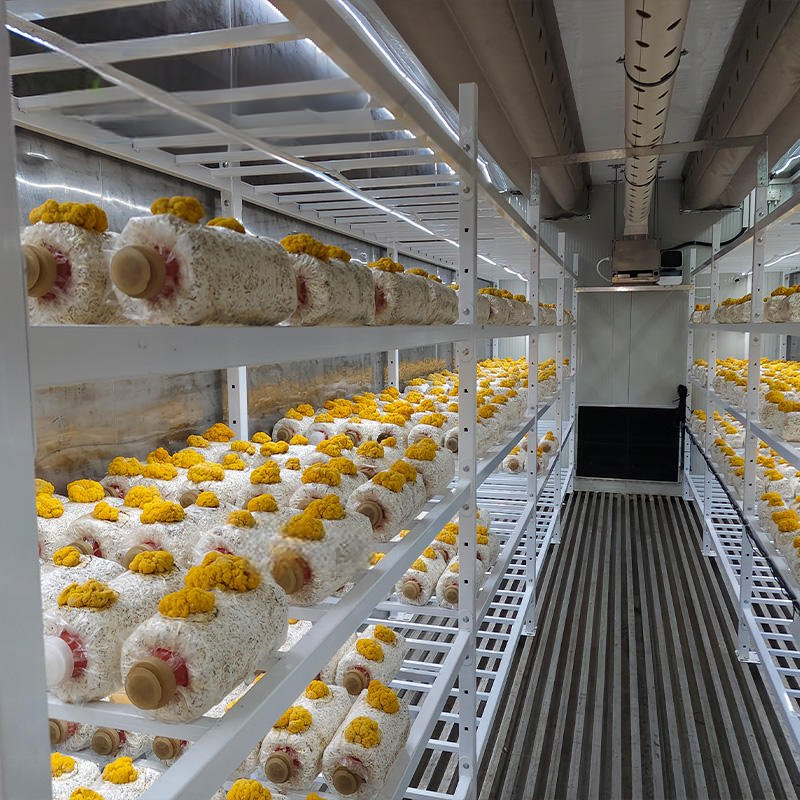Commercial Hydroponic Equipment Hydroponic System and Hydroponic Farm Commercial Hydroponic Container Solution