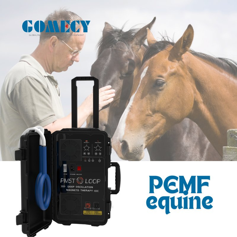 Pulsed Electromagnetic Field Pemf Magneto Therapy Magna Wave Equine Magnetic Equipment for Horses/Livestock/Pets