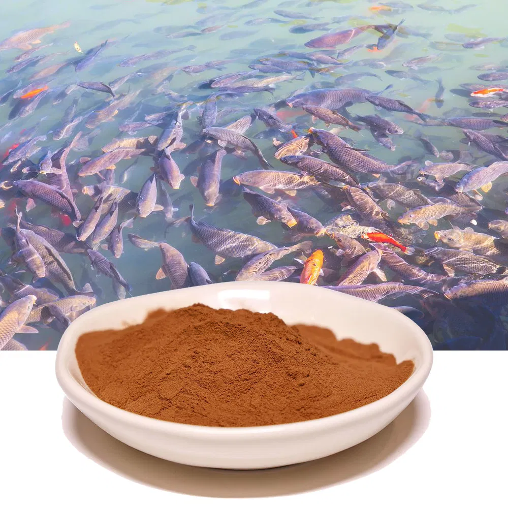 Natural Tilapia Growth Promoter Eucommia Leaf Extract for Aquaculture Farming