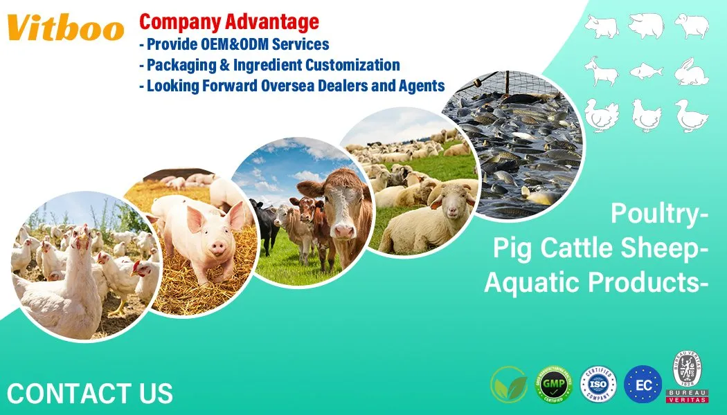 Electrolyte+Vitamin C Oral Solution