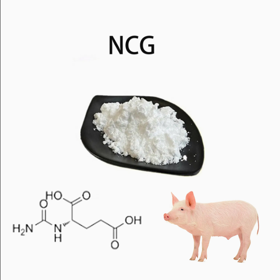 Piglet Growth Promoter Feed Supplement N-Carbamylglutamate (NCG)