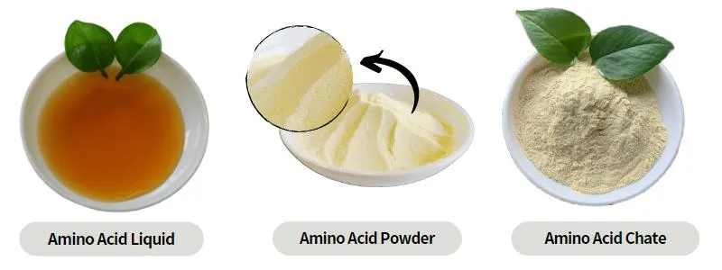 Ca Mg Zn B Chelate Amino Acid