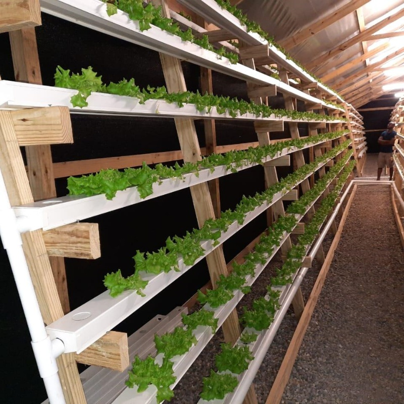 Vertical Farming Solutions Indoor Hydroponic Gardening Nft Setup