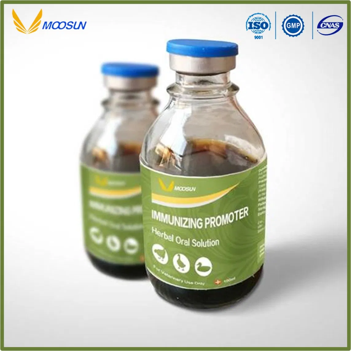 Veterinary Medicine Herbal Solution Immunizing Promoter for Animal Use