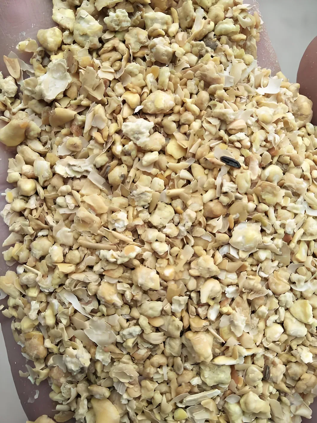 Soy Meal 50% Protein