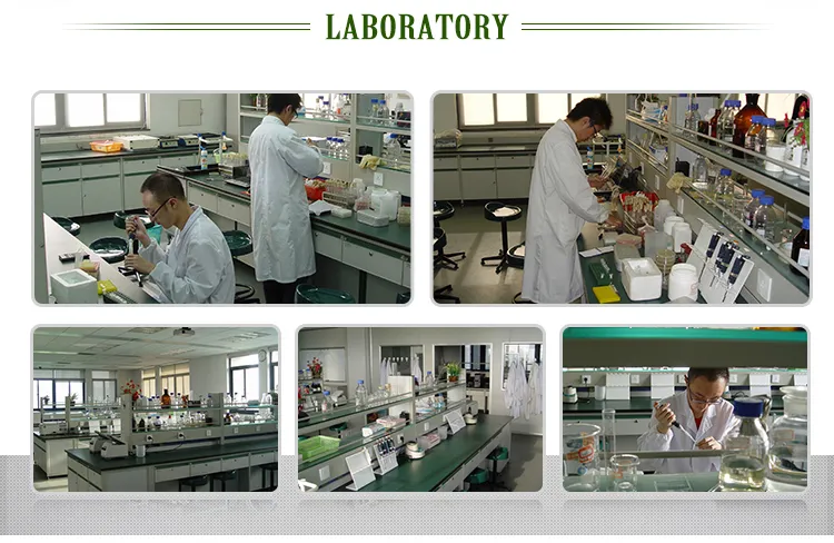 Potassium Humate Application 3