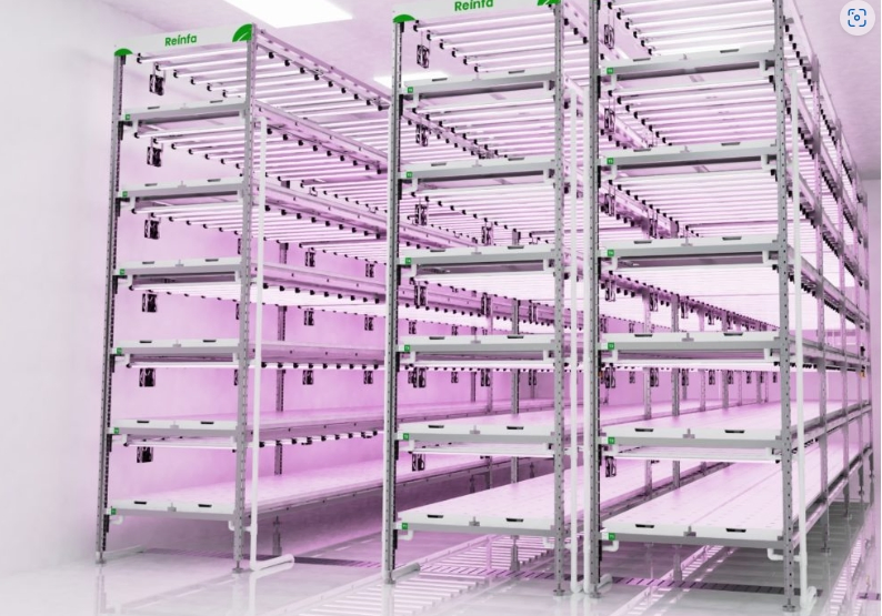 Customizable Indoor Vertical Hydroponic Growing Rack Commercial Lettuce Farming Solution with Smart Airflow Technology