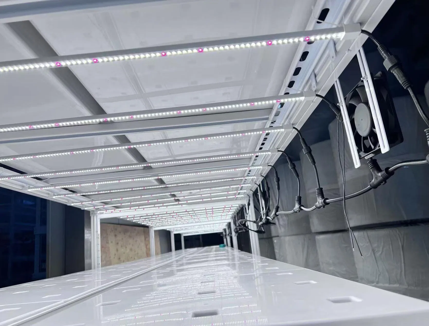 Reinfa Farmhydro: Sustainable Custom Multi-Layer Indoor Farming Solution