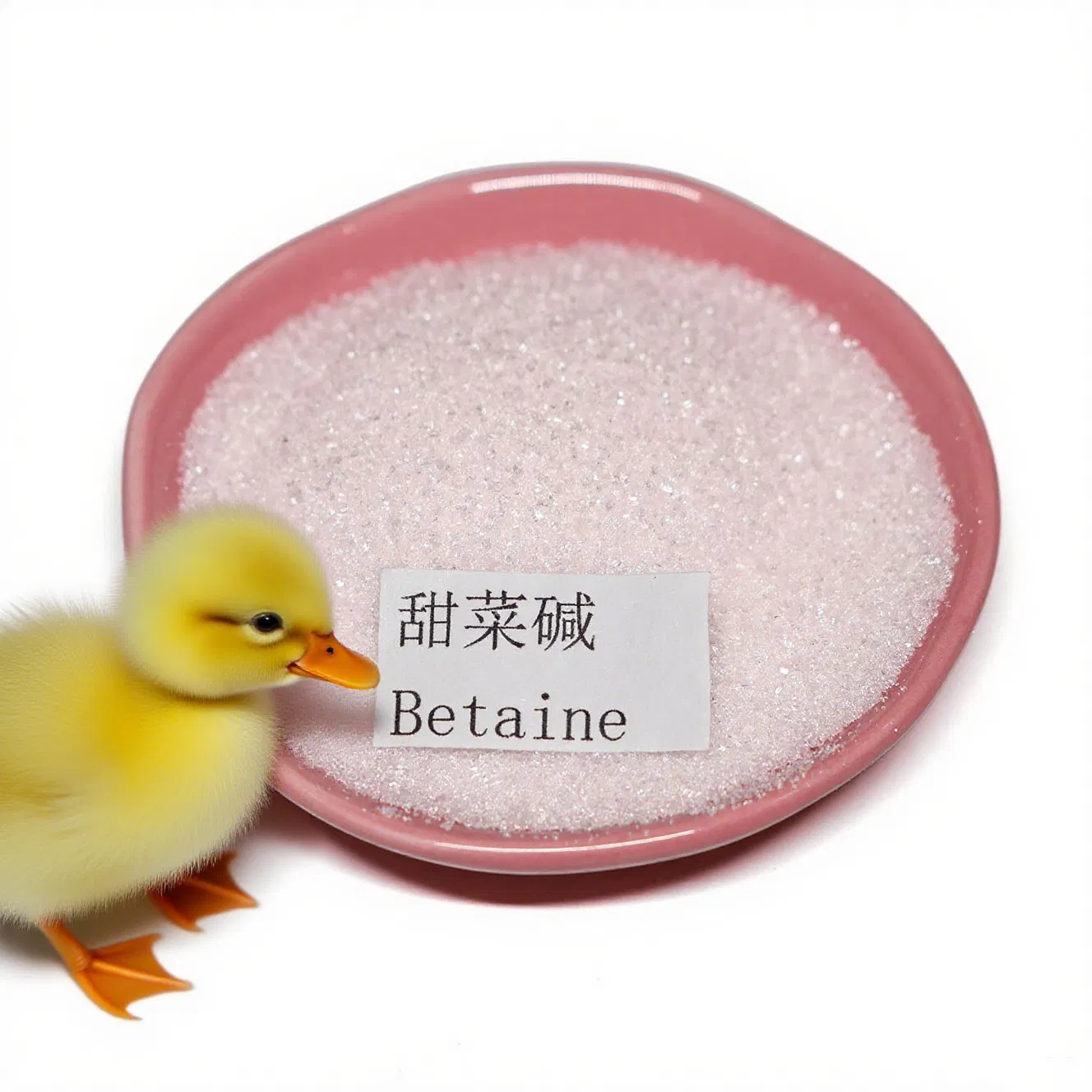 Betaine Anhydrous Feed Additive for Poultry, Pig and Aquaculture Nutrition