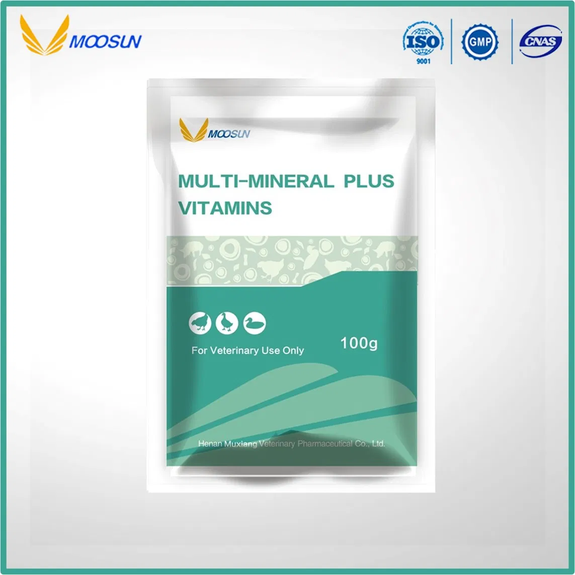 Minerals Plus Vitamins Poultry Livestock Veterinary GMP Factory Feed Additives