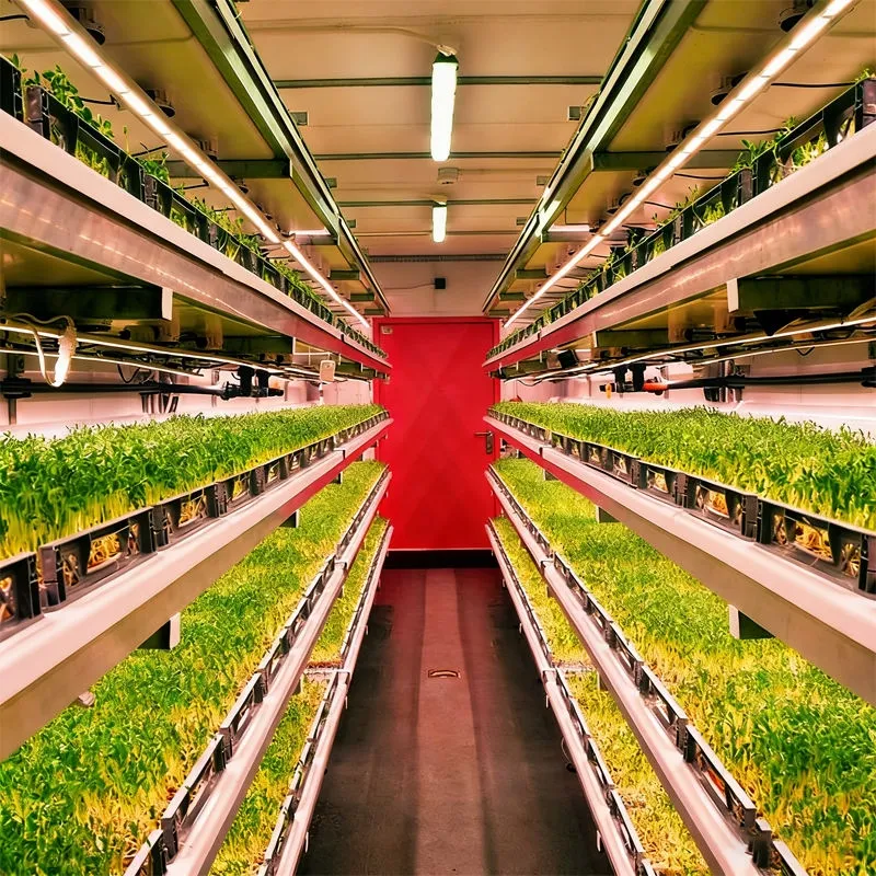 Vertical Hydroponic System Detail