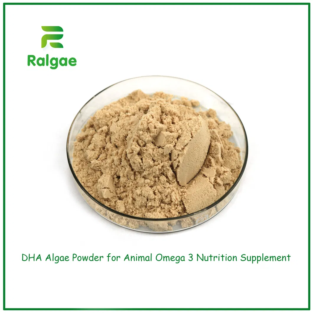 DHA Algae Powder 1