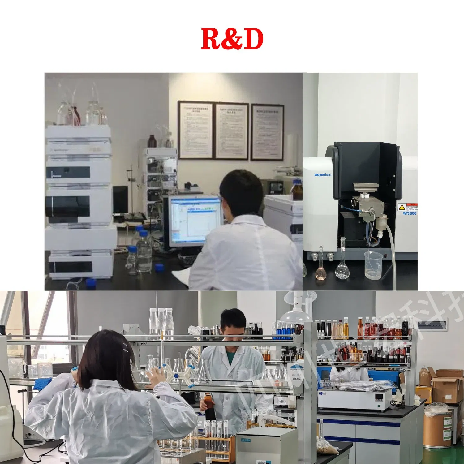 Ca Mg Zn B Chelate Amino Acid Powder Fertilizer for Micronutrient Supplement