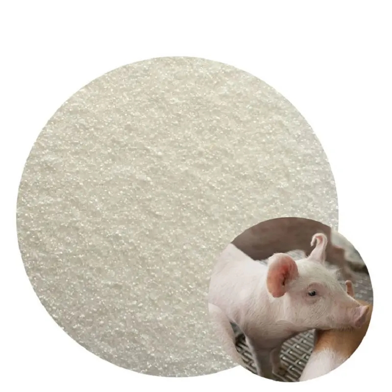 Antibiotic Alternative Growth Tributyrin Glyceryl Tributyrate Powder 48% CAS 60-01-5 for Ruminant Animal Cow