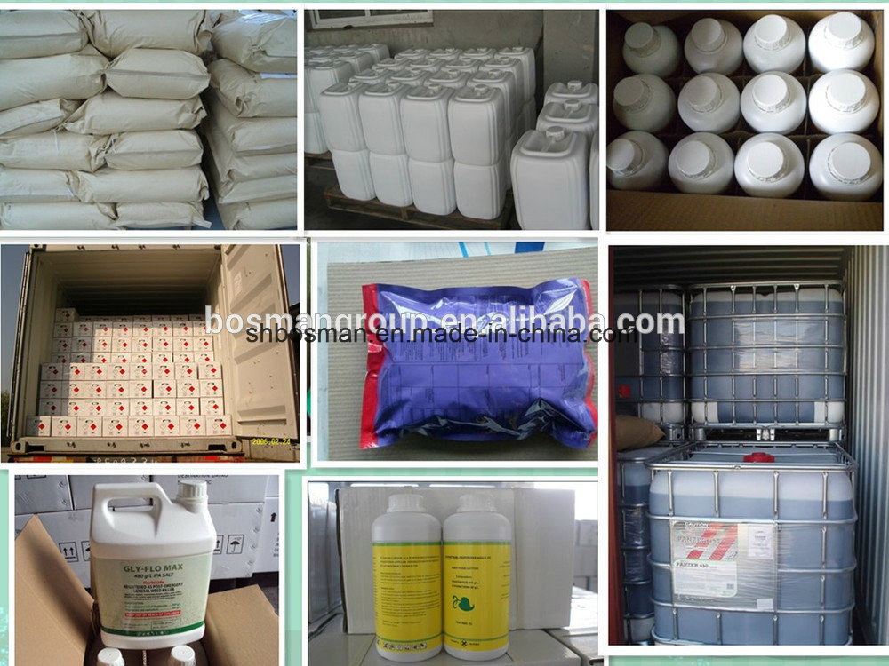 Water Soluble Fertilizer Agriculture EDDHA Fe 6% Iron Micronutrient Fertilizer