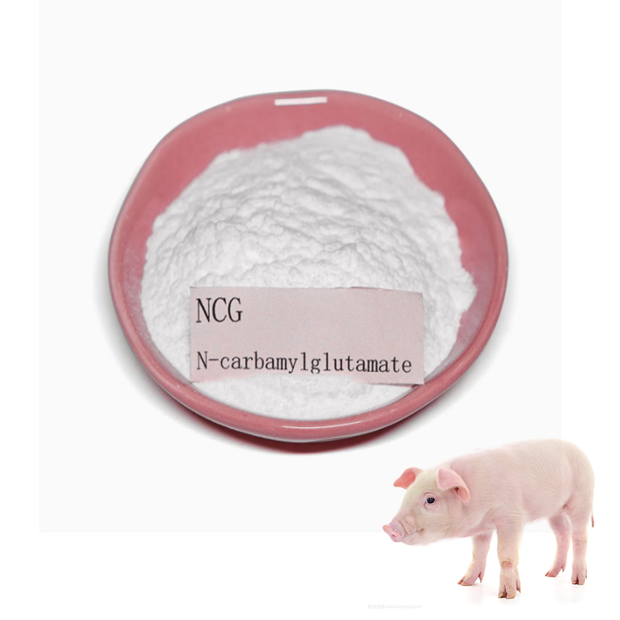 Piglet Growth Promoter Feed Supplement N-Carbamylglutamate (NCG)