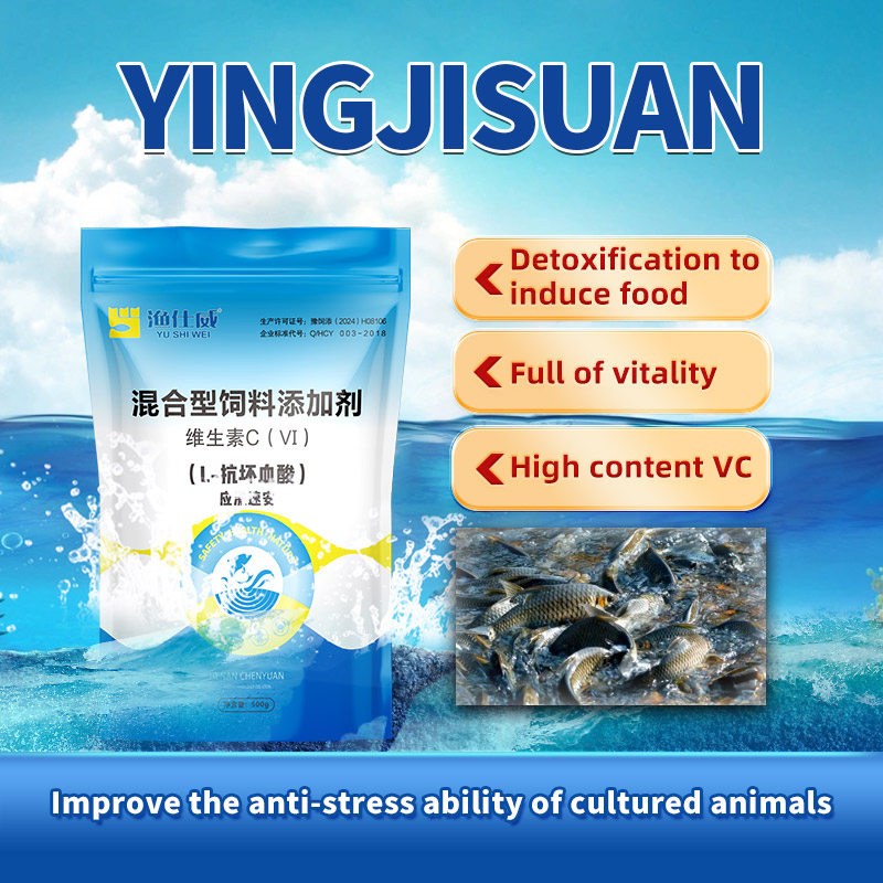 Advanced Feed Additive for Aquaculture: Boost Fish &amp; Shrimp Growth &amp; Immunity