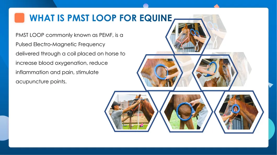 PEMF Therapy Process