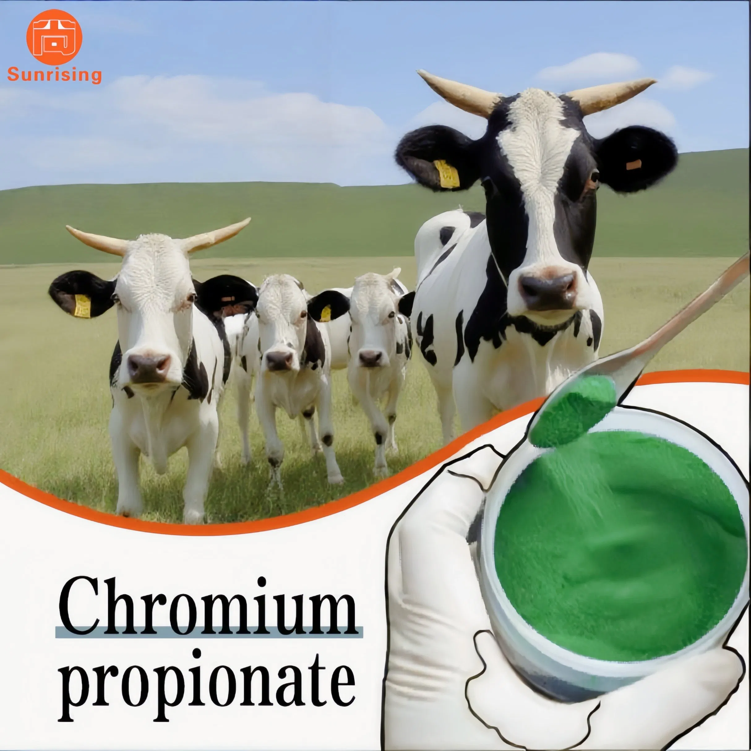 Professional Nutrition Fortifier Chromium Propionate Manufacturer Nutrition Enhancers