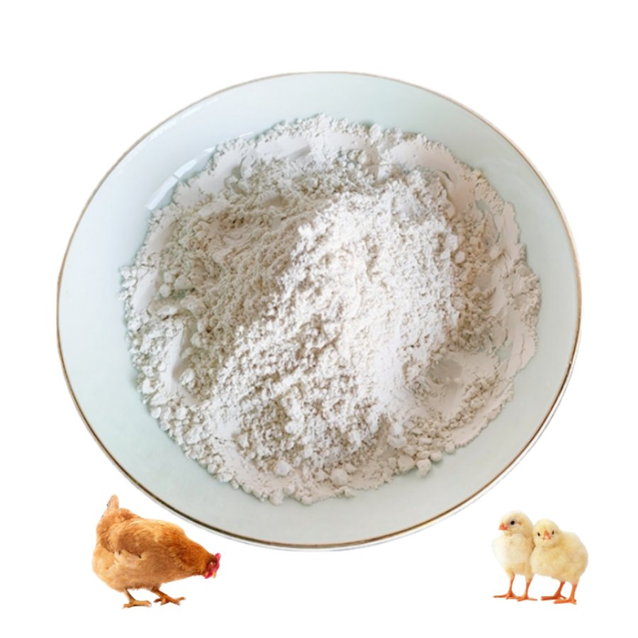 Poultry Allicin Gut Health Promoter - Control Clostridium &amp; Improve Nutrient Absorption in Broilers